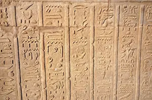Hieroglyphic Writing System Prints: Hierogliphic scripts engraved on a wall