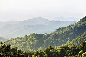 Central Thailand Nature Reserve Prints: High angle view forest mountain