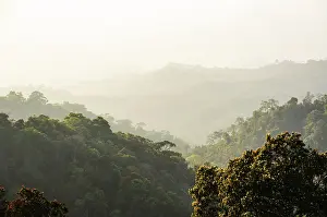 Central Thailand Nature Reserve Prints: High angle view forest mountain