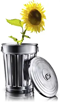 Environmental Protection Image Prints: high resolution 3D rendering of a recycling concept