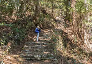 Young Female Hiker Prints: Hiker on a stony path through forest
