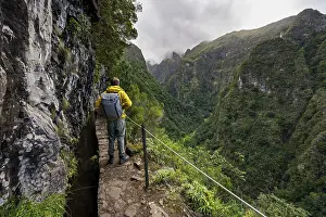 Young Adult Hiker Prints: Hikers on a narrow path along a levada