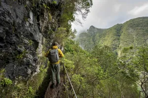 Levada Do Caldeirao Verde Prints: Hikers on a narrow path along a levada