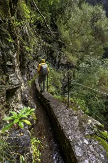 Levada Do Caldeirao Verde Prints: Hikers on a narrow path along a levada