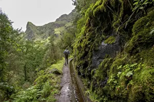 Levada Do Caldeirao Verde Prints: Hikers on a narrow path along a levada