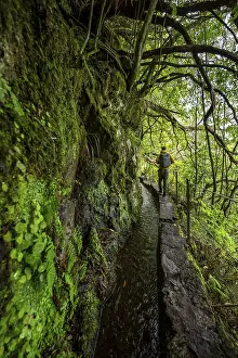 Levada Do Caldeirao Verde Prints: Hikers on a narrow path along a levada