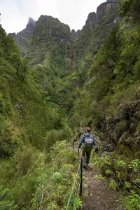 Levada Do Caldeirao Verde Prints: Hikers on a narrow path along a levada