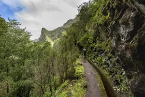 Levada Do Caldeirao Verde Prints: Hikers on a narrow path along a levada