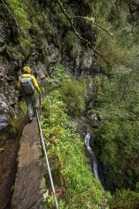 Levada Do Caldeirao Verde Prints: Hikers on a narrow path along a levada