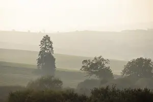 Southern Germany Landscapes Prints: Hills and trees in the evening light