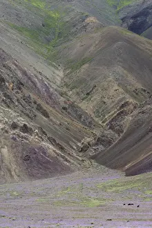 Himalayan Valley Landscape Prints: Himalayan lowering valley