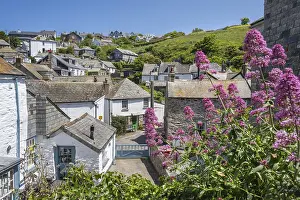 Port Isaac Prints: Historic Village Centre of Port Isaac Print, North Cornwall, England