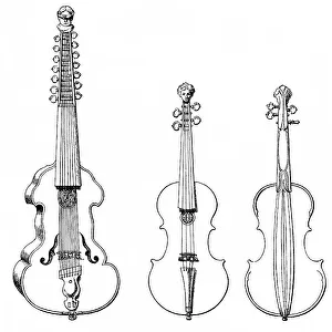 Historical Stringed Instruments Print