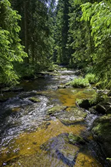 Uninhabited Mountain Stream Prints: Hollfall, GroBer Kamp