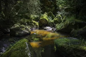 Mountain Torrent Photography Prints: Hollfall, GroBer Kamp