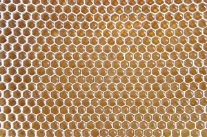 Honeycomb Detail Prints: Honeycomb