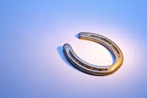 Good Luck Charms Prints: Horseshoe