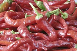 Kitchen Spice Prints: Hot red pepper