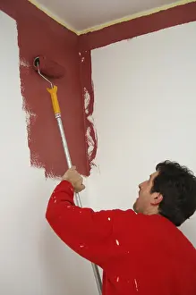 Professional Painter Prints: House painter