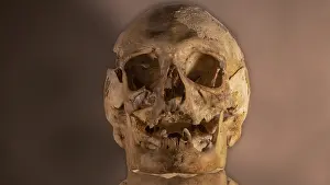 Last Resting Place Images Prints: Human skull