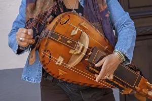 Stringed Musical Instruments Prints: Hurdy-gurdy