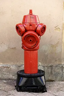 Fire Department Equipment Prints: Hydrant