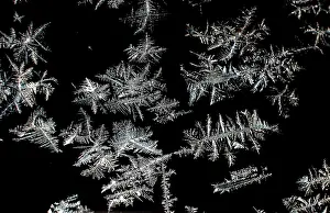 Colourful Composition Prints: Ice crystal