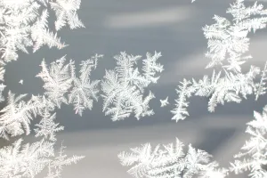 Ice Crystal Formation Prints: Ice crystal