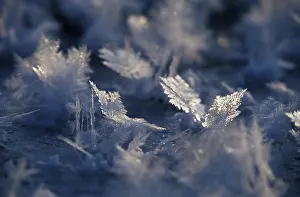 Winter Nature Scenes Prints: Ice crystals
