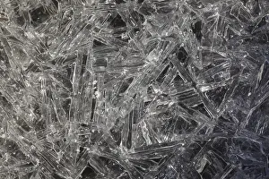 Daytime Winter Scene Prints: Ice crystals