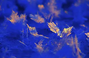 Winter Nature Scene Prints: Ice crystals