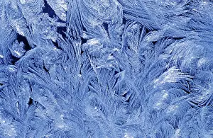 Nature Macro Photography Prints: Ice crystals