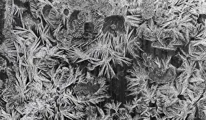 Bizarre Ice Formations Prints: Ice crystals at a window