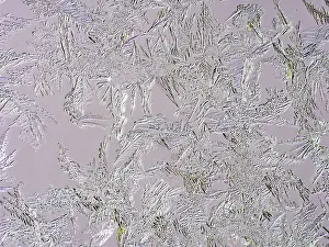 Close Up Ice Crystals Prints: Ice crystals at a window
