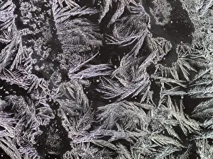 Close Up Ice Crystals Prints: Ice crystals at a window