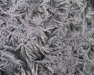 Ice Crystal Details Prints: Ice crystals at a window