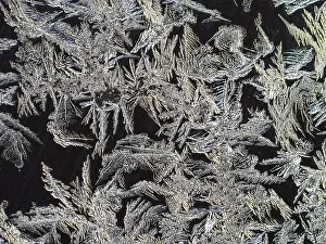 Bizarre Ice Formations Prints: Ice crystals at a window