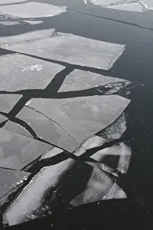 Berlin Winter Landscape Prints: Ice floes