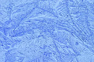 Ice Flowers Prints: Ice flowers