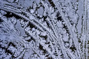 Close Up Ice Pattern Prints: Ice flowers on the window