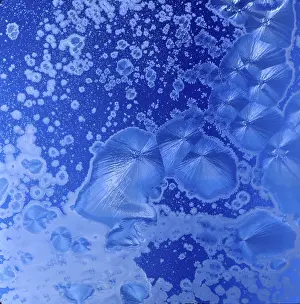 Close Up Ice Pattern Prints: Ice flowers at the window