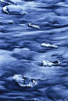 Ice Formations Prints: Ice formations in a stream