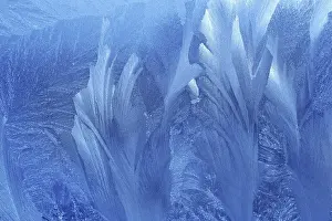 Cold Climate Photography Prints: Ice patterns on winter glass