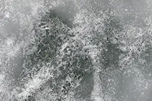Ice Structure Saint Lawrence River Prints: Ice structure, Saint Lawrence River