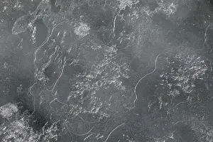 Close Up Ice Crystal Formation Prints: Ice structure, Saint Lawrence River