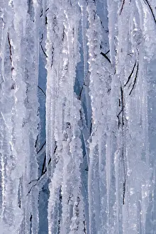 Austrian Winter Landscapes Prints: Ice structures, icicles, Vomperloch
