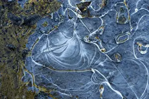 Ice Structures Germany Prints: Ice structures in a puddle, Hesse, Germany