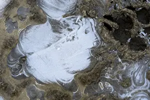 Close Up Ice Crystals Prints: Ice structures in a puddle, Hesse, Germany