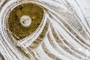 Close Up Ice Formations Prints: Ice structures on the water surface