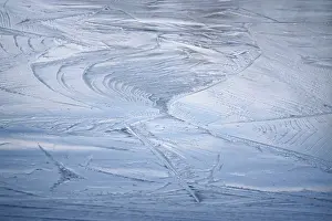 Wintry Germany Prints: Ice, Winter, Germany